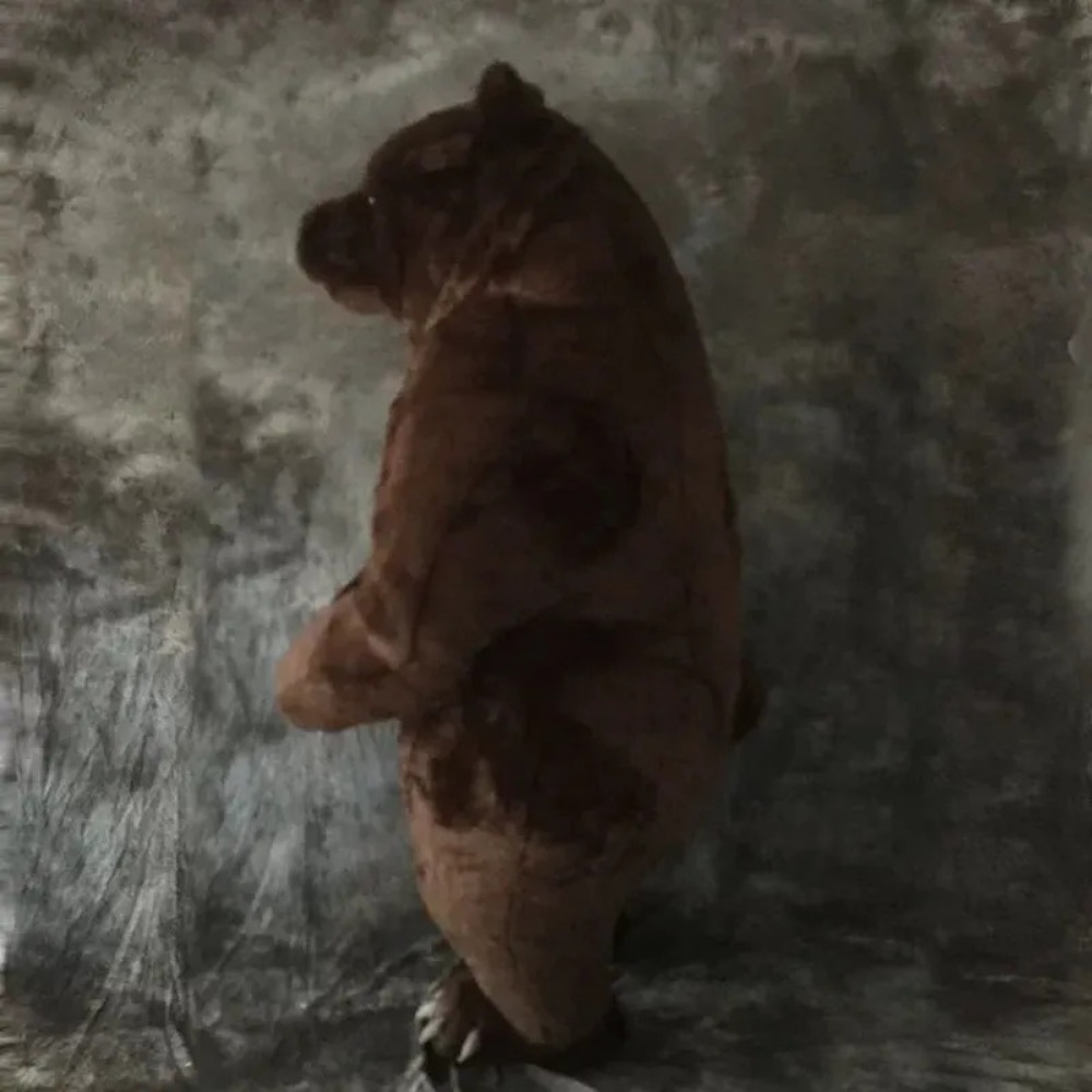 Inflatable Brown Bear Mascot C - Costumes recension och pris